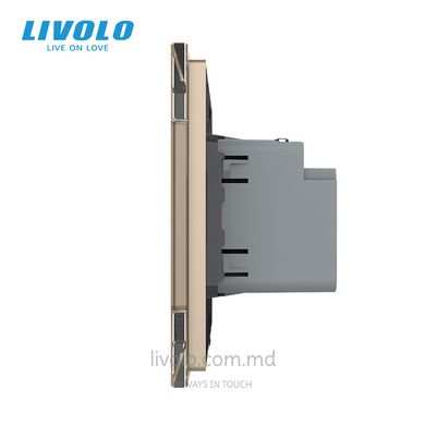 Розетка USB type C с блоком питания 45W Livolo, Золотой, Золотой