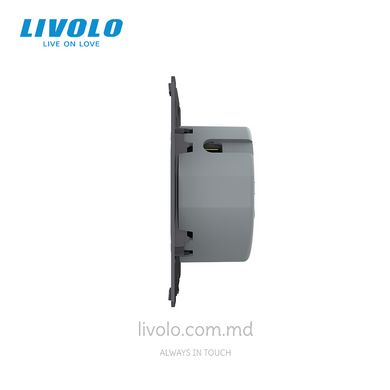 Одноклавишный проходной сенсорный выключатель Livolo ZigBee (механизм)
