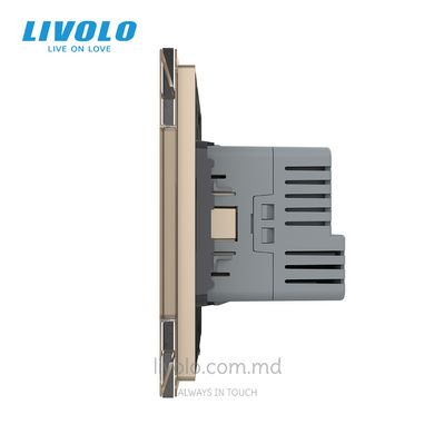 Электрическая розетка с портом USB-C Livolo, цвет Золотой