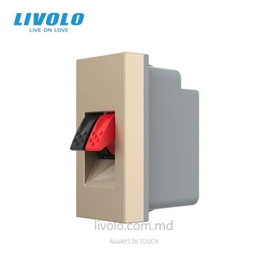 Модуль розетки Hi-Fi аудио Livolo, Золотой, Золотой