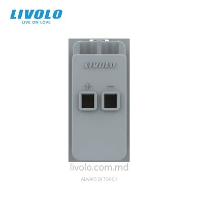 Модуль розетки Hi-Fi аудио Livolo, Золотой, Золотой