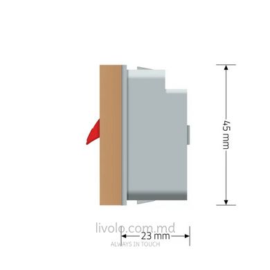 Модуль розетки Hi-Fi аудио Livolo, Золотой, Золотой