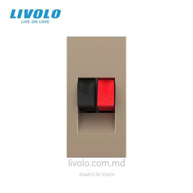 Модуль розетки Hi-Fi аудио Livolo, Золотой, Золотой