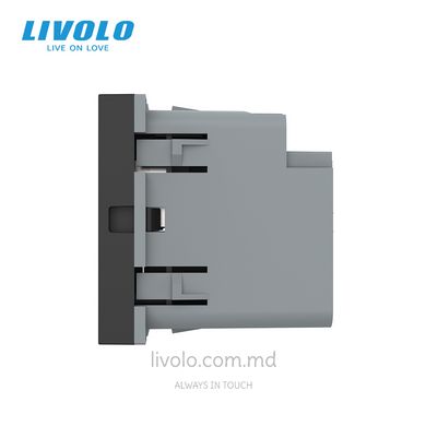 Модуль розетки USB-A + USB-C 36W Livolo, Черный, Черный