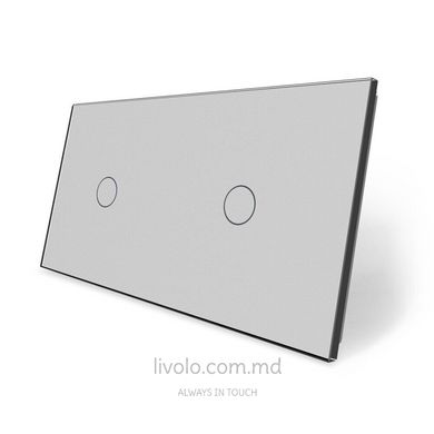 Панель для двух сенсорных выключателей Livolo, 2 клавиши (1+1), стекло, цвет Серый