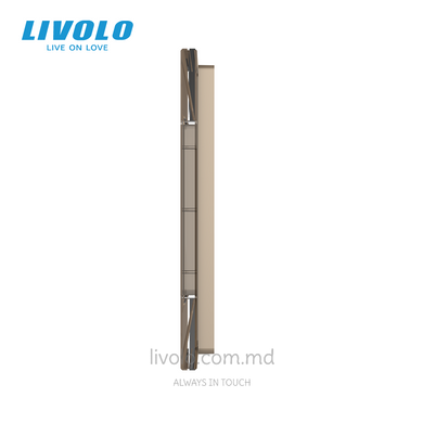 Стеклянная панель Livolo для квадратного подрозетника, 2 клавиши + модульная рамка 90&times;45 мм, 7 модулей, Золотая