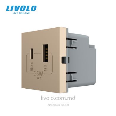 Модуль розетки USB-A + USB-C 36W Livolo, Золотой, Золотой