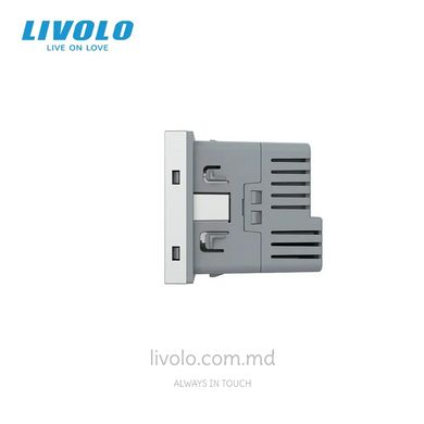 Modul priza Schuko cu iesire USB-C 18W Livolo, Sur