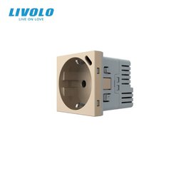 Модуль электрической розетки с портом USB-C Livolo, цвет Золотой