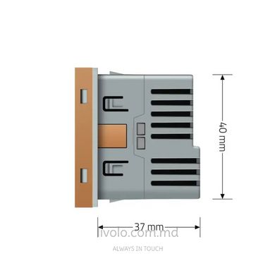 Modul priza Schuko cu iesire USB-C 18W Livolo, Auriu