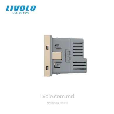 Модуль электрической розетки с портом USB-C Livolo, цвет Золотой