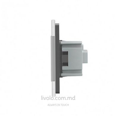 Сенсорный выключатель Livolo комбинированный на 2 линии 2 розетки 3 модуля Серый