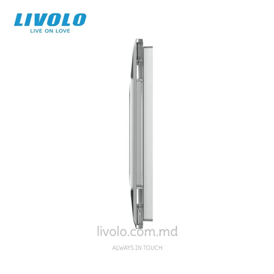Panou decorativ din sticlă Livolo 2 clape + 2 prize, 3 posturi, Gri 2.5D