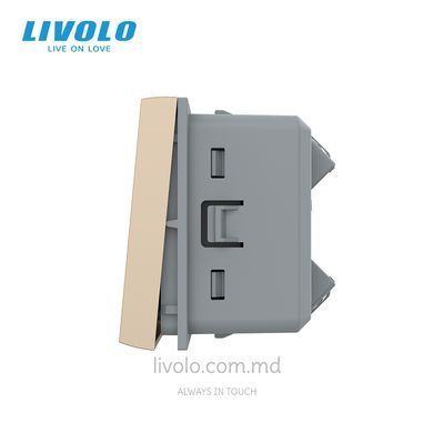 Modul &icirc;ntrerupător mecanic cu revenire Livolo, 1 clapă, 45&times;45 mm, Auriu