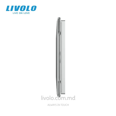 Панель для двух сенсорных выключателей и розетки Livolo, 4 клавиши (2+2+0), стекло, цвет Серый 2.5D