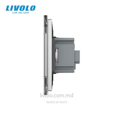 Розетка Livolo 1 модуль Серый