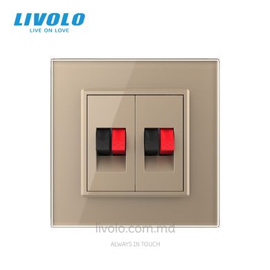 Двойная розетка Hi-Fi аудио Livolo, Золотой