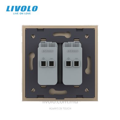 Двойная розетка Hi-Fi аудио Livolo, Золотой