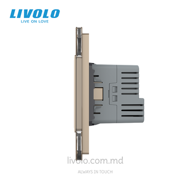 &Icirc;ntrerupător tactil Livolo 1 clapă + 1 priză cu USB-C, 2 posturi, Auriu