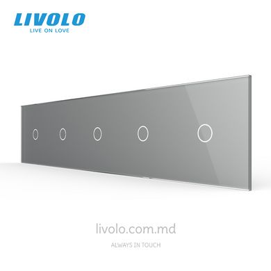Панель для пяти сенсорных выключателей Livolo, 5 клавиш (1+1+1+1+1), стекло, цвет Серый