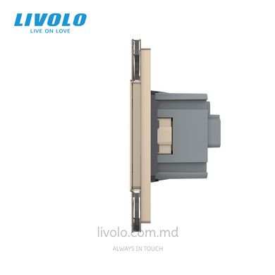 Розетка Livolo 2 модуля Золотой