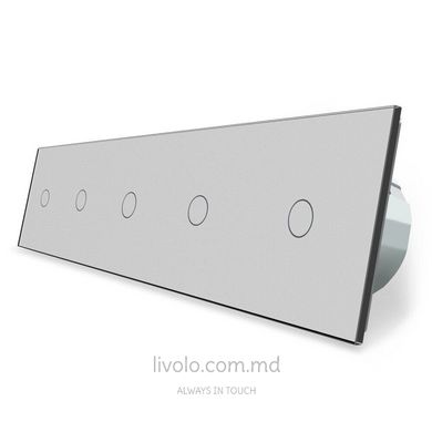 Сенсорный выключатель Livolo 5 клавиш (1+1+1+1+1), 5 постов Серый