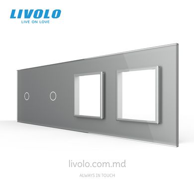 Панель для двух сенсорных выключателей и двух розеток Livolo, 2 клавиши (1+1+0+0), стекло, цвет Серый