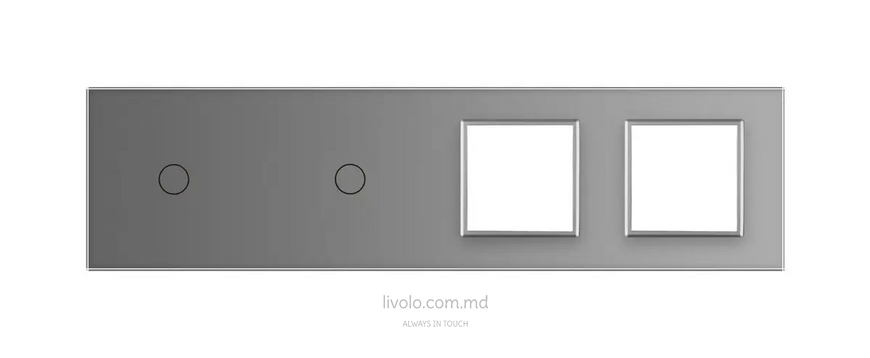 Панель для двух сенсорных выключателей и двух розеток Livolo, 2 клавиши (1+1+0+0), стекло, цвет Серый