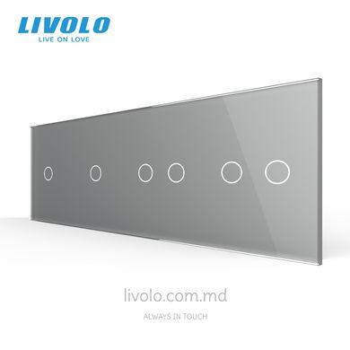 Панель для четырех сенсорных выключателей Livolo, 6 клавиш (1+1+2+2), стекло, цвет Серый