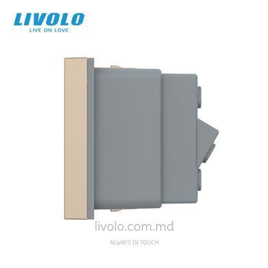 Модуль розетки типа L Livolo, итальянский стандарт, Золотой