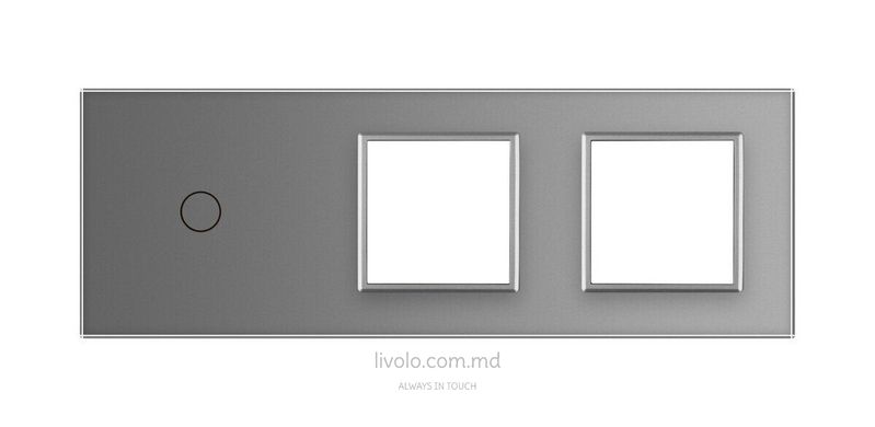 Панель для сенсорного выключателя и двух розеток Livolo, 1 клавиша, стекло, цвет Серый