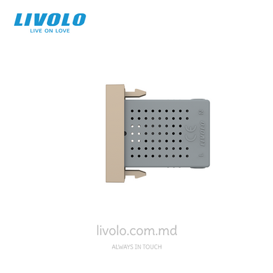 Модуль розетки USB-A Livolo, 10W, цвет Золотой