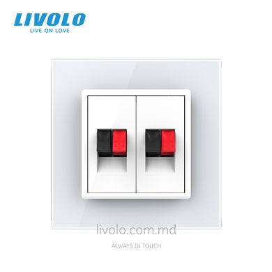 Двойная розетка Hi-Fi аудио Livolo, Белый, Белый