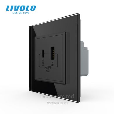 Розетка USB-A + USB-C 36W Livolo, стеклянная рама, Черный, Черный