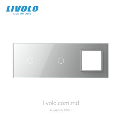 Панель для двух сенсорных выключателей и розетки Livolo, 2 клавиши (1+1+0), стекло, цвет Серый