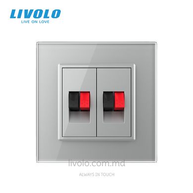 Priză dublă Hi-Fi audio Livolo, Sur, Sur