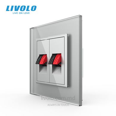 Priză dublă Hi-Fi audio Livolo, Sur, Sur