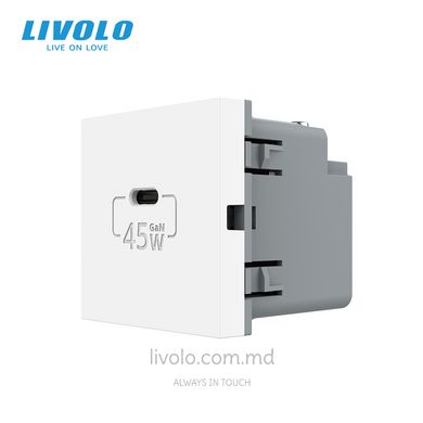 Модуль розетки USB type C с блоком питания 45W Livolo, Белый, Белый