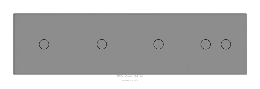 Панель для четырех сенсорных выключателей Livolo, 5 клавиш (1+1+1+2), стекло, цвет Серый