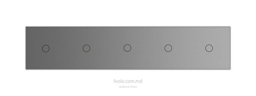Сенсорный проходной выключатель Livolo 5 клавиш (1+1+1+1+1), 5 модулей Серый