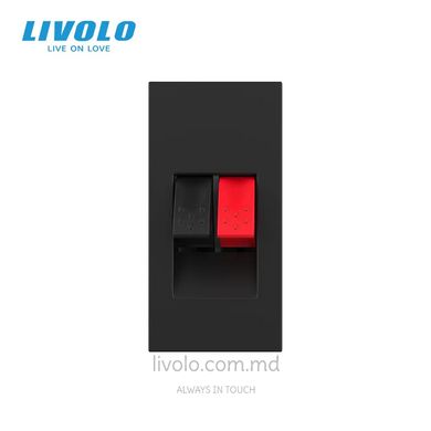 Модуль розетки Hi-Fi аудио Livolo, Черный, Черный
