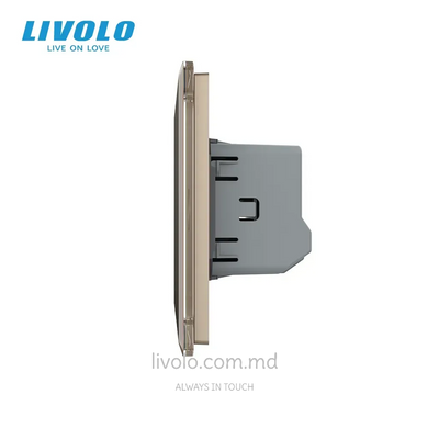 Сенсорный выключатель Livolo 1 клавиша 1 пост Золотой 2.5D