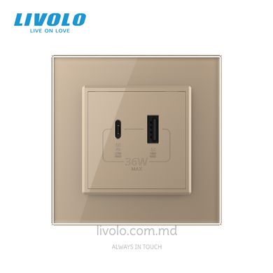 Розетка USB-A + USB-C 36W Livolo, стеклянная рама, Золотой, Золотой