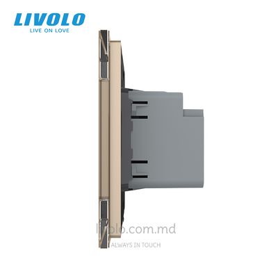 Priza USB-A + USB-C 36W Livolo, rama din sticla securizata, Auriu, Auriu