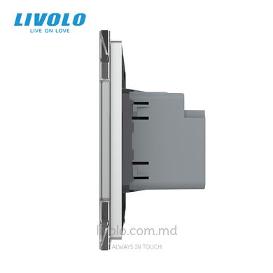 Розетка USB-A + USB-C 36W Livolo, стеклянная рама, Серый, Cерый