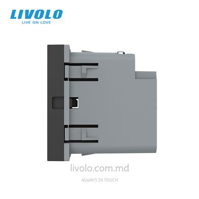Модуль розетки USB type C с блоком питания 45W Livolo, Черный, Черный