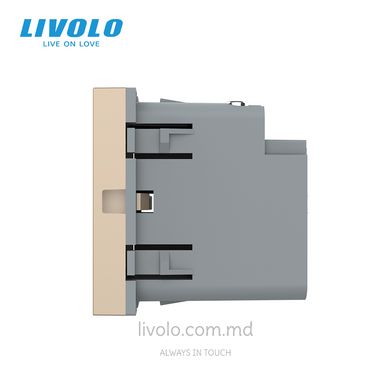 Модуль розетки USB type C с блоком питания 45W Livolo, Золотой, Золотой