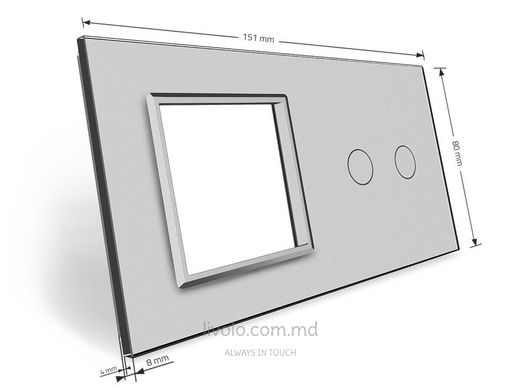 Панель для сенсорного выключателя и розетки Livolo, 2 клавиши, стекло, цвет Серый