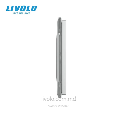 Панель для двух сенсорных выключателей Livolo, 2 клавиши (1+1), стекло, цвет Серый 2.5D